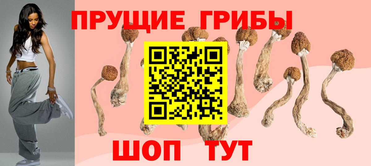 Псилоцибиновые грибы Magic Shrooms  Галлюциногенные грибы Magic Shrooms  Вход с VPN  как найти закладки  Старая Русса 